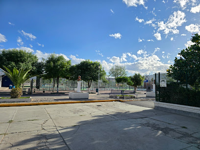 Deportiva en Torreón