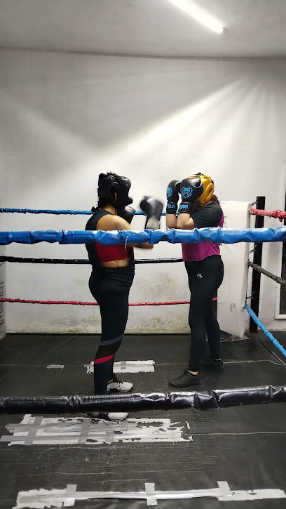 Erg Boxing Club en Gustavo A. Madero