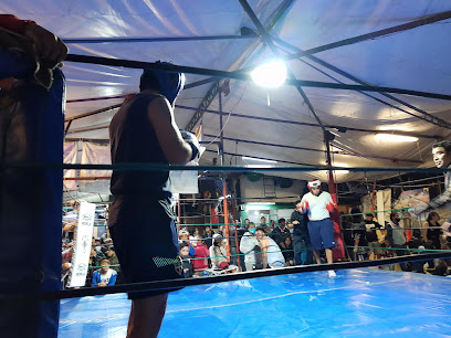 Escuela de Boxeo Abispon en Coyoacán