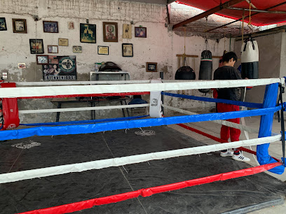 Escuela de Boxeo Equipo Martinez en López Mateos