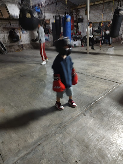 Gimnasio de Box en Coacalco