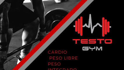 Gym Testo en Gustavo A. Madero
