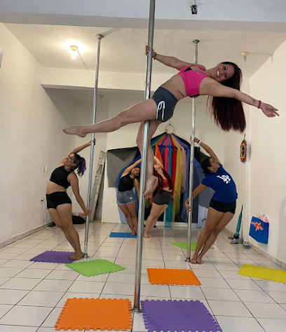 Pole Fitness Gavi en Manzanillo