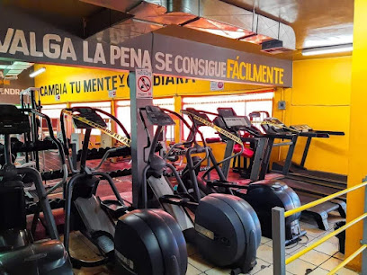 Spider Gym 1 en Cd. Juárez