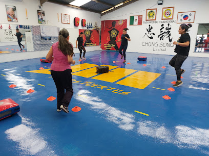 Steel Mens Gym en Iztapalapa