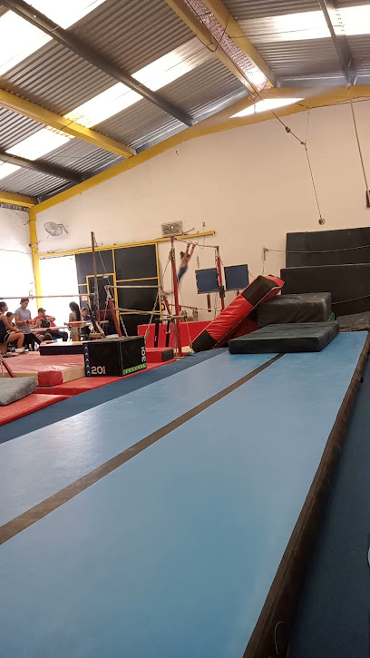Centro Gimnastico Anaya en Guadalupe