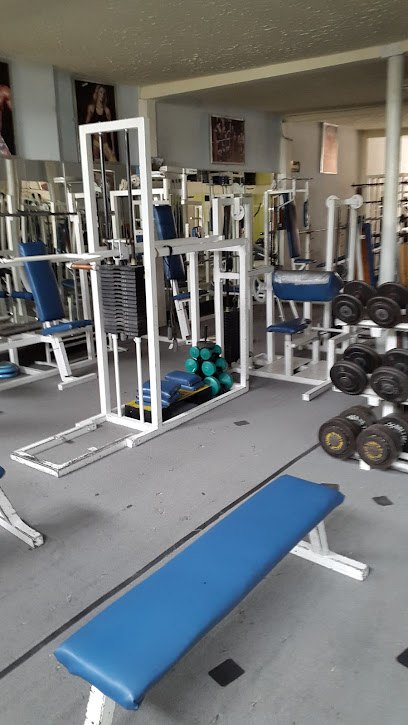 Gym Alino's en Pachuca