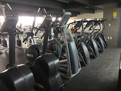 Haro Gym El Carmen en Pachuca