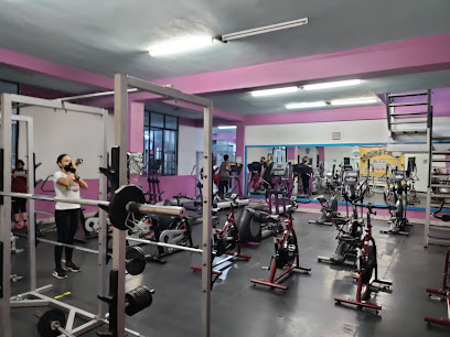 Iron Gym en Irapuato