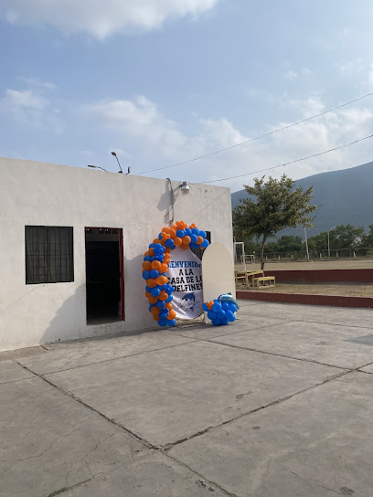 Liga Pequeña de Beisbol Delfines Escobedo Sur en General Escobedo