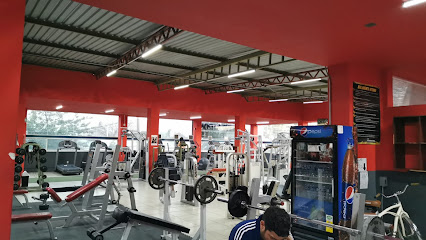 Live Stong Fitness Pls en Celaya