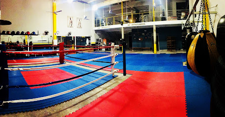 Muay Thai Club en Puerto Vallarta
