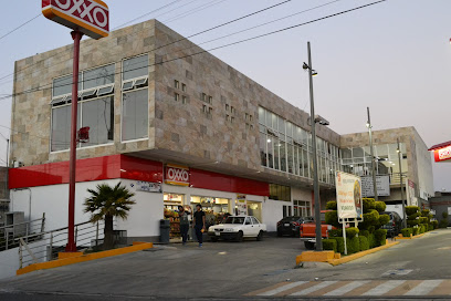 Real Gym en Toluca