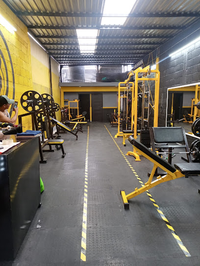 Team Lion's Gym en Chilpancingo