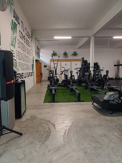 Crossfit Element Earth en Poza Rica