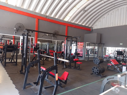 Elite Gym en Veracruz