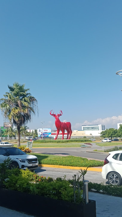 Fitbeing18 en Mazatlán