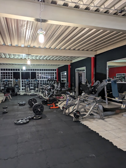 Gym Mamuts en Xalapa