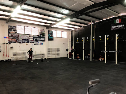 Lion Victoria en Cd. Victoria