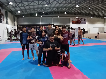 Academia Avila's de Contacto en Ciudad del Carmen