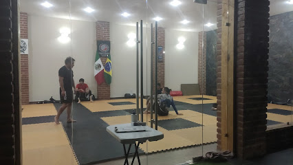 Academia Renzo Gracie Tulancingo en Tulancingo