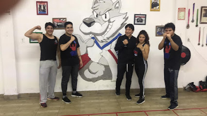 Academia de Boxeo Hh en Álvaro Obregón