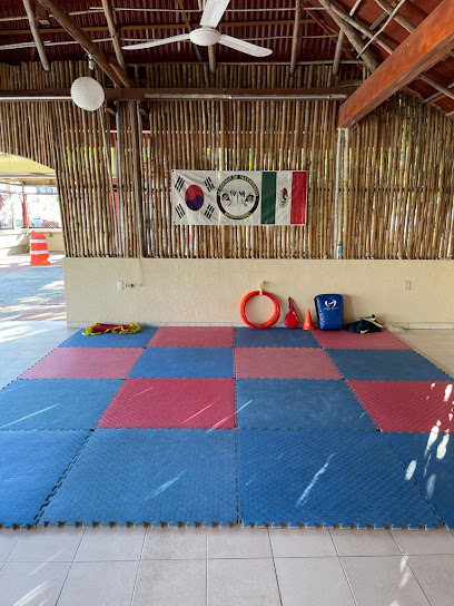 Academia de Taekwondo Depredadores Cd del Carmen en Ciudad del Carmen