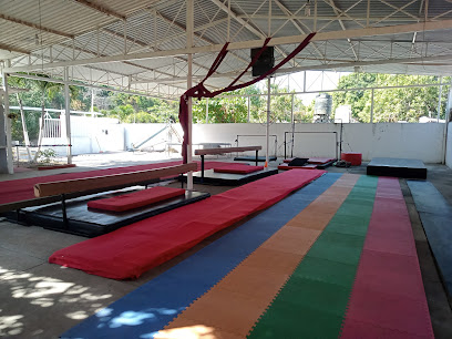 Alfig Gym Manzanillo en Manzanillo