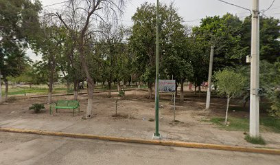 Andador A en Gómez Palacio