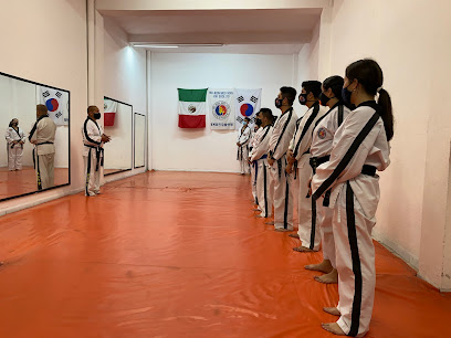 Artes Marciales Hoi Jeon Moo Sool Manzanillo en Manzanillo