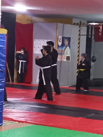 Artes Marciales Reyes en Tizayuca