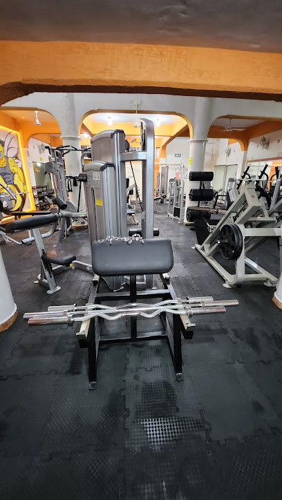 Avispón Gym en Chilpancingo