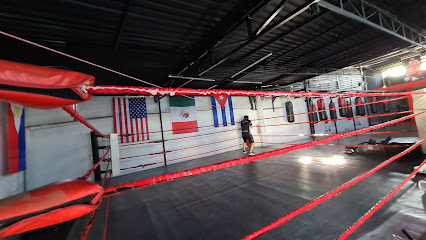 Big Boxing en Colima