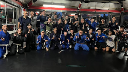 Blackbird House Mma en Tonalá