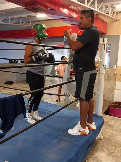 Box Gym Municipal Gallegos en Gómez Palacio