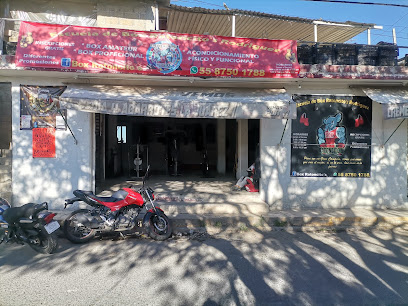 Box Ratoncito's en Nicolás Romero