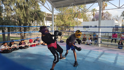 Boxsalamanca Team Escuela de Box en Salamanca