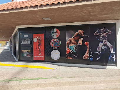 Britto System en Delicias