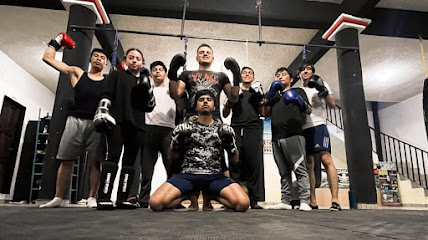 Camm King's Vale Tudo Mma Bfc en San Cristóbal de las Casas