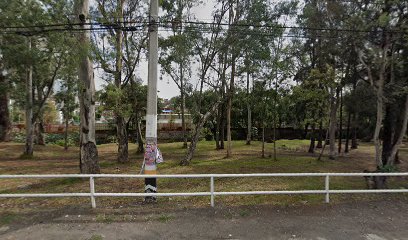 Centro de Formacion Leones Negros Udeg en Nicolás Romero