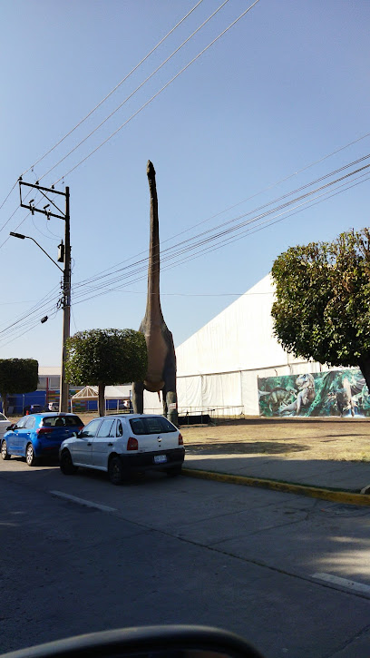 Cipol en Irapuato