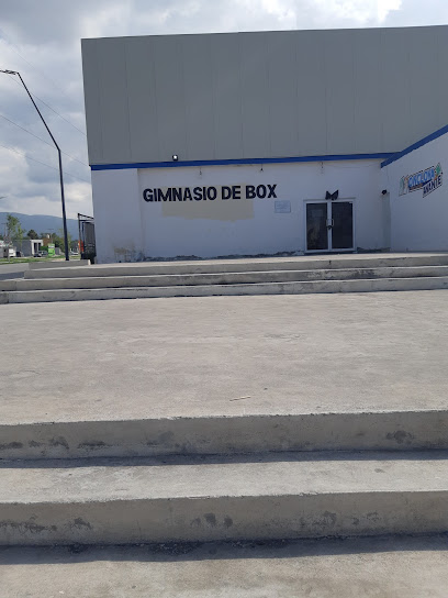 Club de Boxeo Casa Meced en Monclova