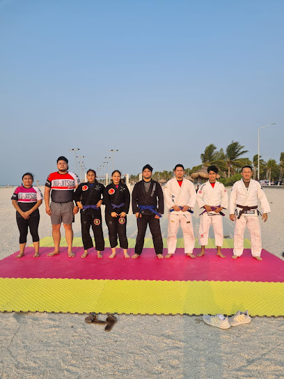 Delariva Jiu Jitsu en Ciudad del Carmen