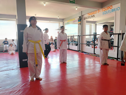 Destiny Martial Arts & Fitness en Tizayuca