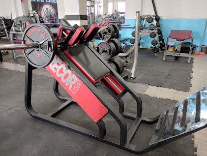 Equipo Profesional Para Gym Hercules en Chalco