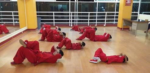 Escuela de Artes Marciales Asociación de Wushu Shaolín Dragón Rojo en Chilpancingo