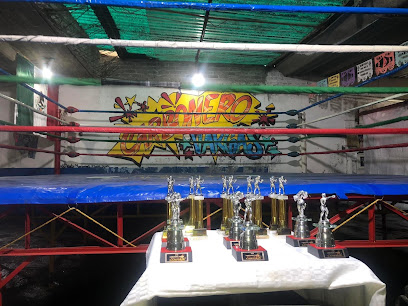 Escuela de Box Carbonero Vargas en Chalco