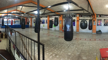 Escuela de Box Dinamitas en López Mateos