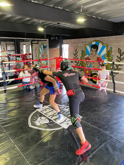 Escuela de Box Las Arboledas - El Rey en Tlalnepantla
