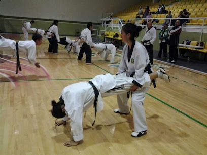 Escuela de Taekwondo Argentum Gomez Palacio en Gómez Palacio